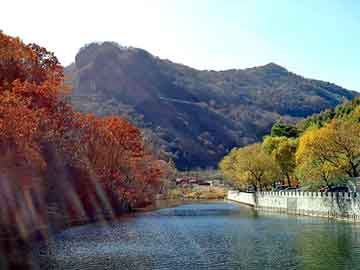 澳门天天彩期期精准平肖，土默特右旗seo建站